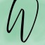 wangturtle.pages.dev favicon