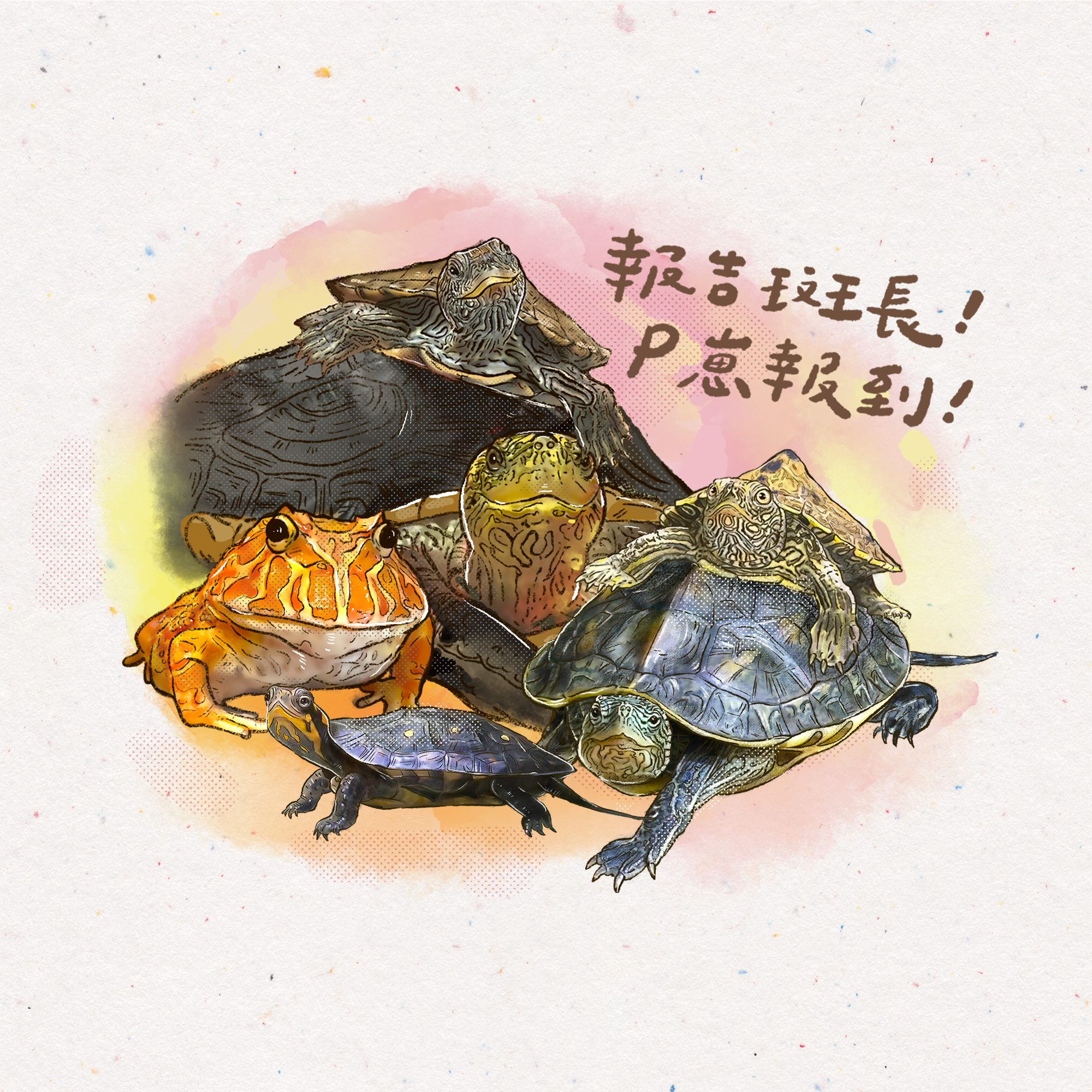 Wang Turtle's Friends 1