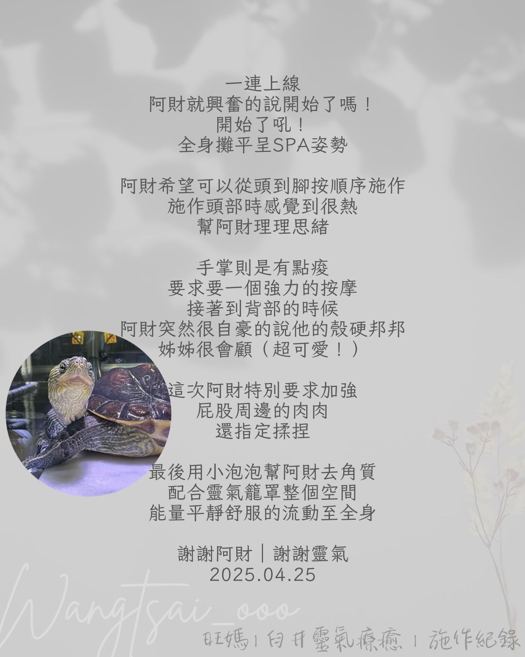 靈氣療癒紀錄 3 Usui Reiki Record 3