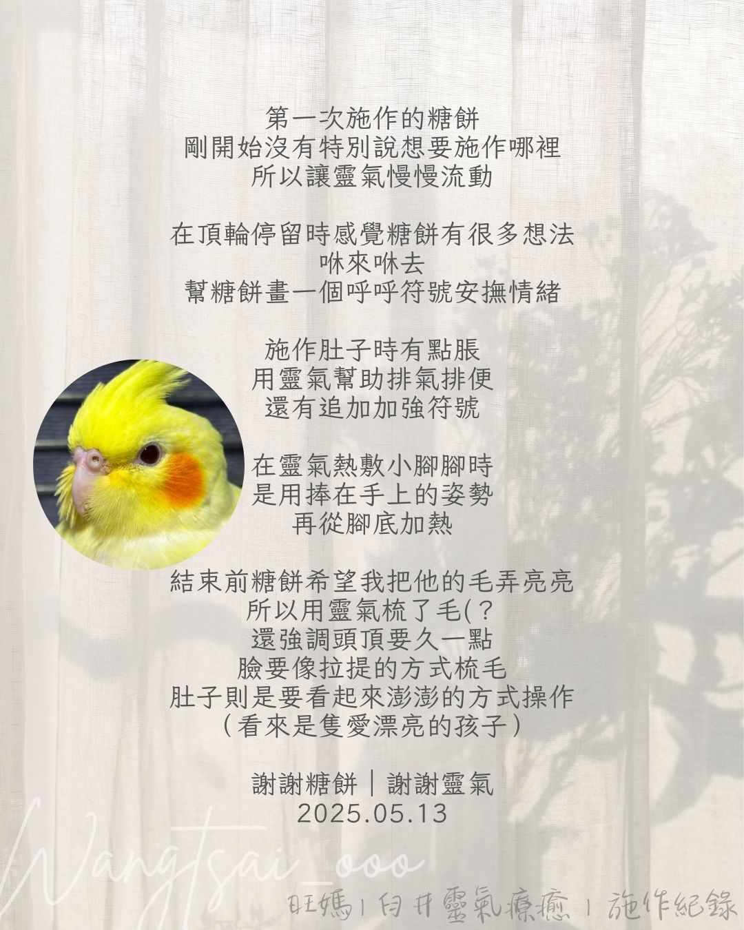 靈氣療癒紀錄 5 Usui Reiki Record 5