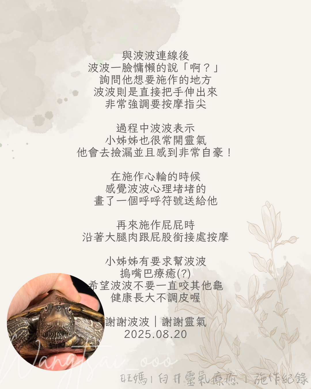 靈氣療癒紀錄 8 Usui Reiki Record 7